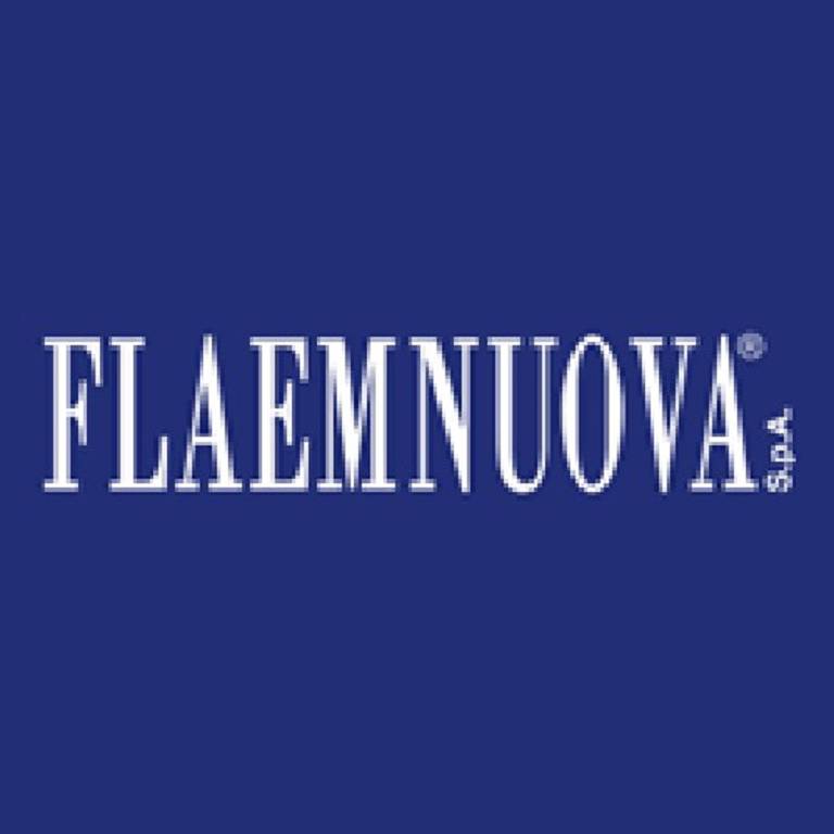 FLAEM FILTRI POREX AEROSOL 2PZ